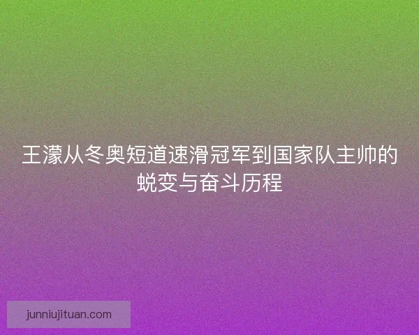 王濛从冬奥短道速滑冠军到国家队主帅的蜕变与奋斗历程